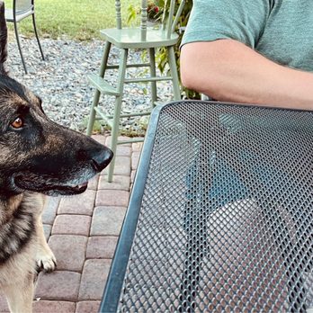The Ranch House - Dog friendly patio - American Near Me - Chester, California