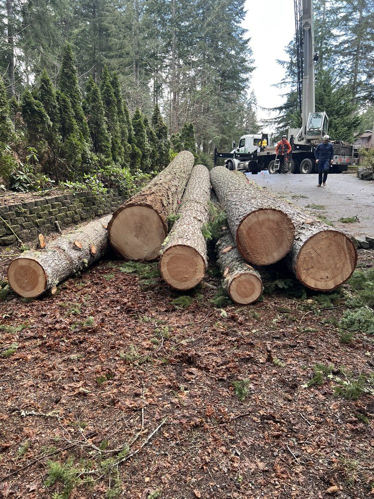 Archon Tree Services - tree service in Olalla, WA
