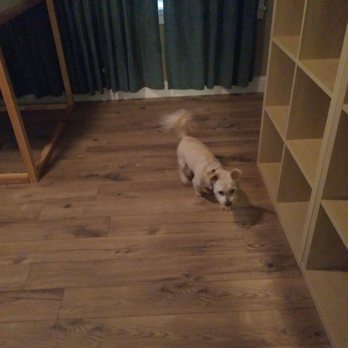 Floors Plus - Kids room floor. - Carpeting Near Me - Modesto, California