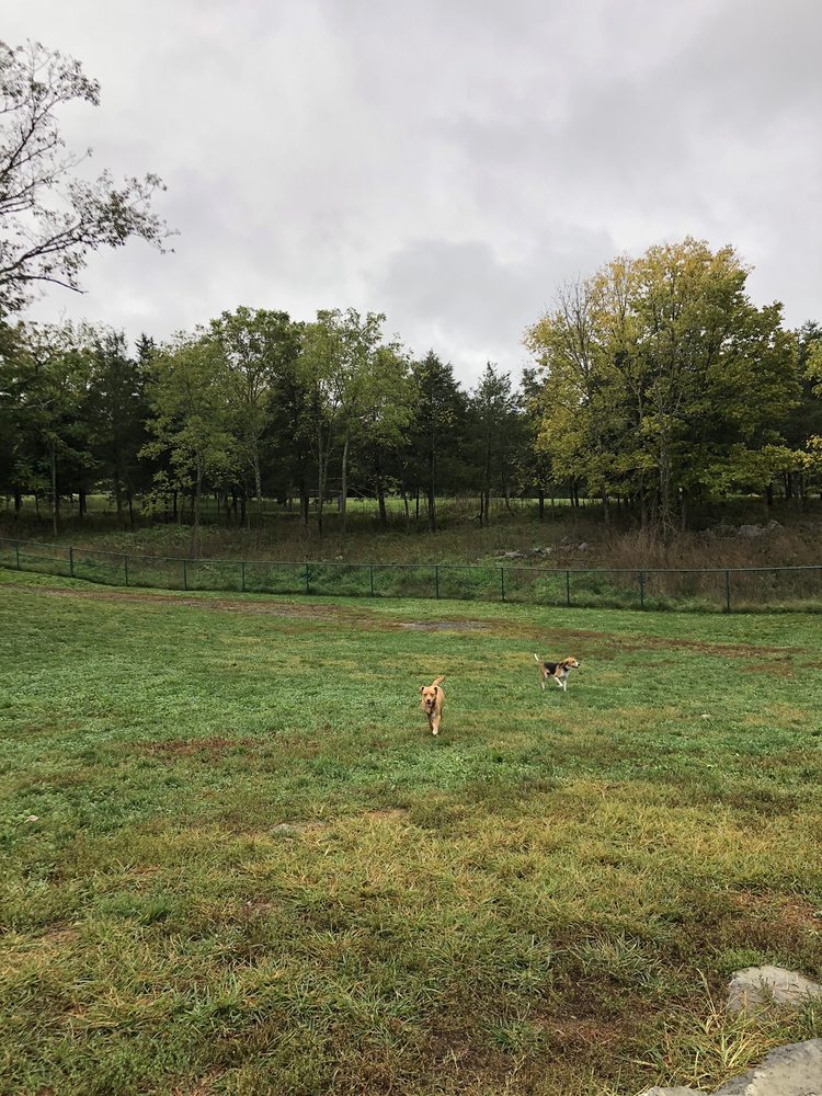 SMITHLAND ROAD DOG PARK Updated August 2024 1646 Smithland Rd, Harrisonburg, Virginia Dog