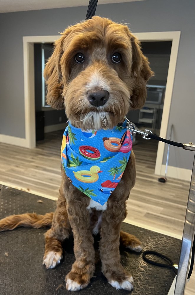 LEASH & LATHER Updated August 2024 39 Photos 721 SW 10th St