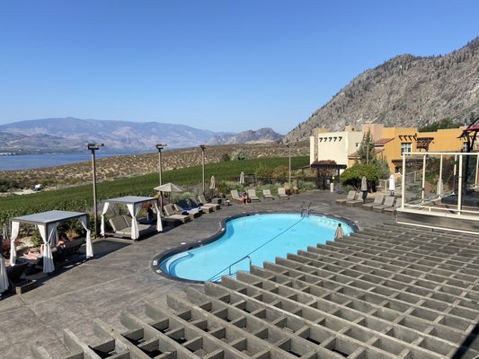 The Bear, The Fish, The Root & The Berry by null