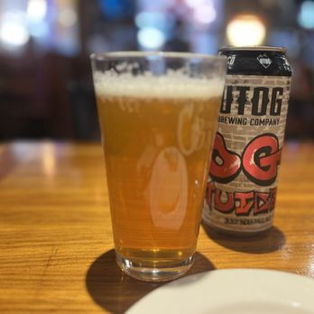 The Bayou - a glass of beer next to a glass of water - Cajun/Creole Near Me - Salt Lake City, Utah The Bayou - a glass of beer next to a glass of water - Cajun/Creole Near Me - Salt Lake City, Utah
