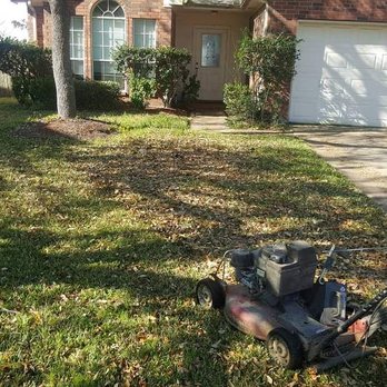 SANCHEZ SERVICE - Tree Services Near Me