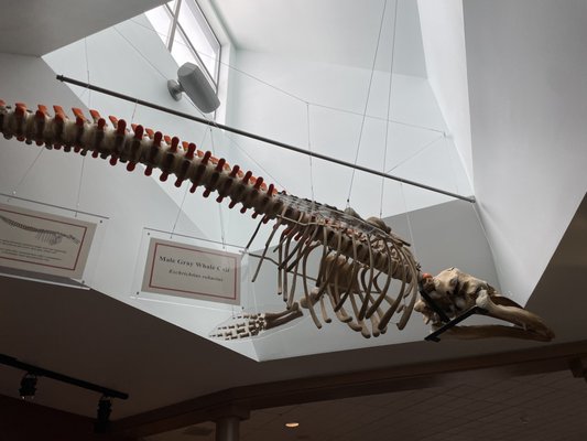 Hatfield Marine Science Center Oregon State University by null