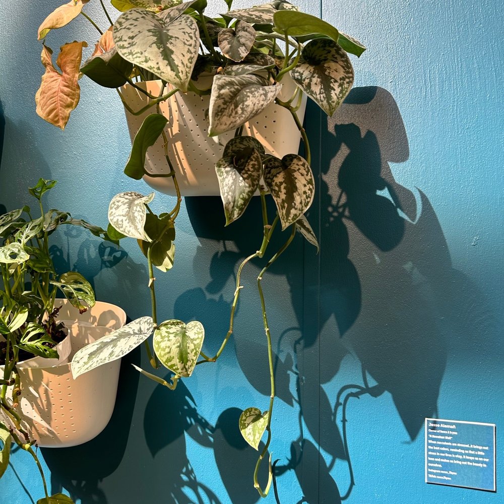Riverside Art Museum - Art Schools Near Me - Riverside, California