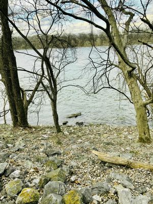 Tennessee Riverpark by null