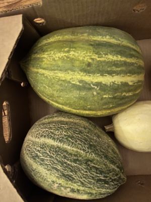 Del Bosque Farms by null