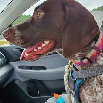 Tail Waggin Ranch - Pet Sitting Near Me - Swansboro, North Carolina Tail Waggin Ranch - Pet Sitting Near Me - Swansboro, North Carolina