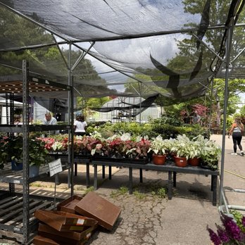 Atlantic Gardening Company - Nurseries & Gardening Near Me - Raleigh, North Carolina
