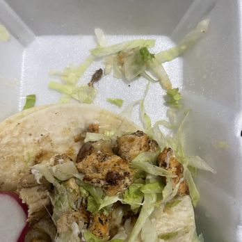 El Patio Mexicano - a chicken taco in a styrofoam container - Mexican Near Me - New York, New York El Patio Mexicano - a chicken taco in a styrofoam container - Mexican Near Me - New York, New York