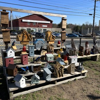 NEED BAIT ? - Hunting & Fishing Supplies Near Me - Norfolk, Massachusetts NEED BAIT ? - Hunting & Fishing Supplies Near Me - Norfolk, Massachusetts