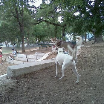 West Austin Park & Wading Pool - Dog Parks Near Me - Austin, Texas West Austin Park & Wading Pool - Dog Parks Near Me - Austin, Texas