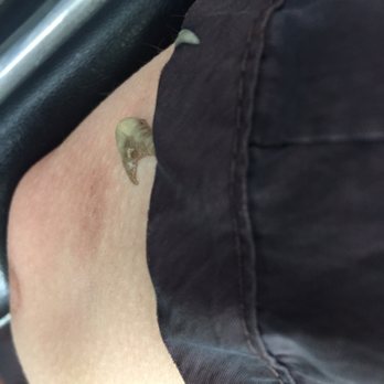 Salon 5014 - Hair color that got splattered on my arm. WTH?!? - Hair Salons Near Me - Dallas, Texas