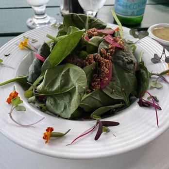 Asticou Restaurant - Green salad - New American Near Me - Northeast Harbor, Maine