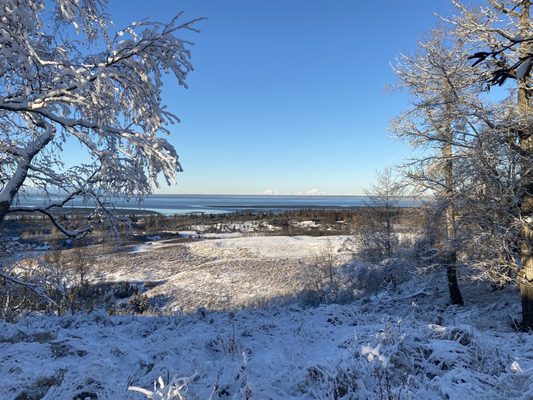 Kincaid Park by null