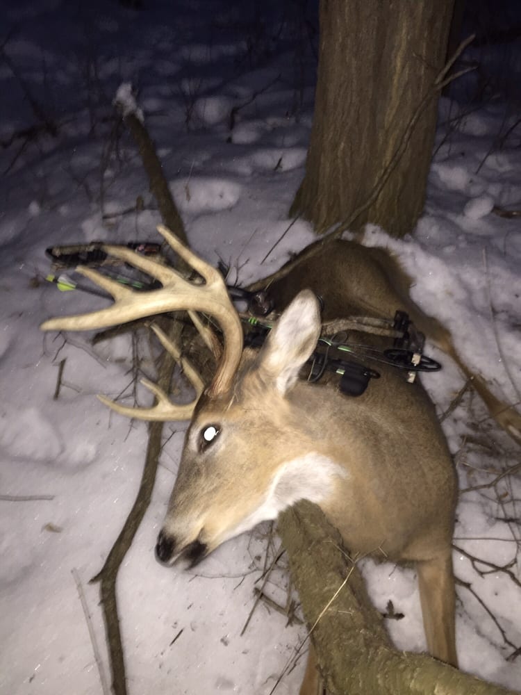 HOOF’S TAXIDERMY Updated September 2024 3335 180th St, Lester