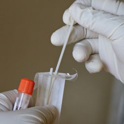 COVID-19 Testing Laboratory