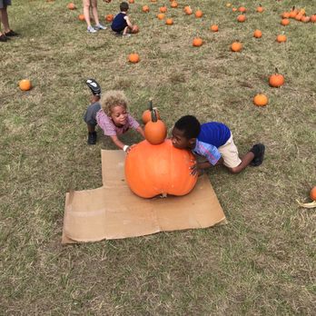 Poppell Farms - Fruits & Veggies Near Me - Odum, Georgia