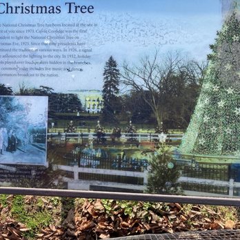 National Christmas Tree - Local Flavor Near Me - Washington, DC, District of Columbia National Christmas Tree - Local Flavor Near Me - Washington, DC, District of Columbia