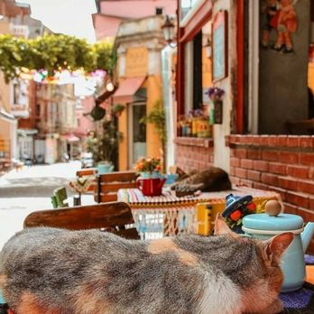 Cafe Naftalin K. - Cafes Near Me - Istanbul, 34 Cafe Naftalin K. - Cafes Near Me - Istanbul, 34