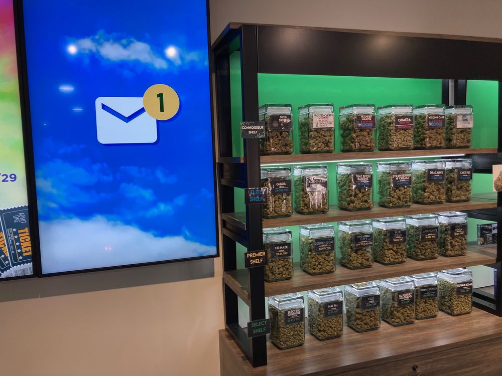 STAR BUDS LAKEWOOD Updated October 2024 44 Photos & 13 Reviews