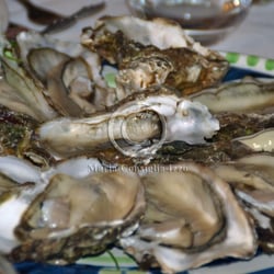 Taverna 'e mare - Ostriche