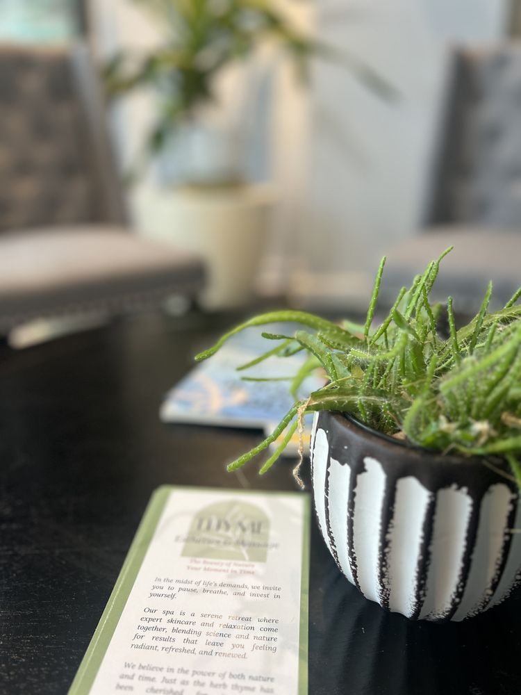 Thyme Esthetics & Massage Logo