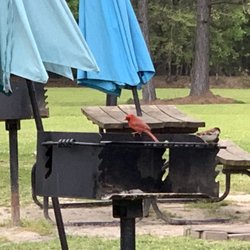 Brookeland / Lake Sam Rayburn KOA