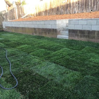 Boomerang - lawn - Masonry/Concrete Near Me