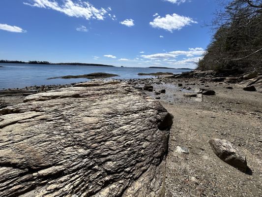 Wolfe's Neck Woods State Park by null