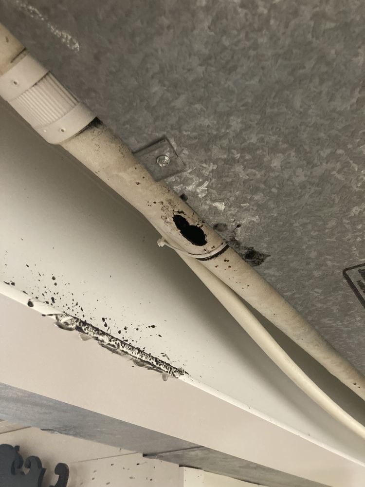 Slide of Roto-Rooter Plumbing & Water Cleanup