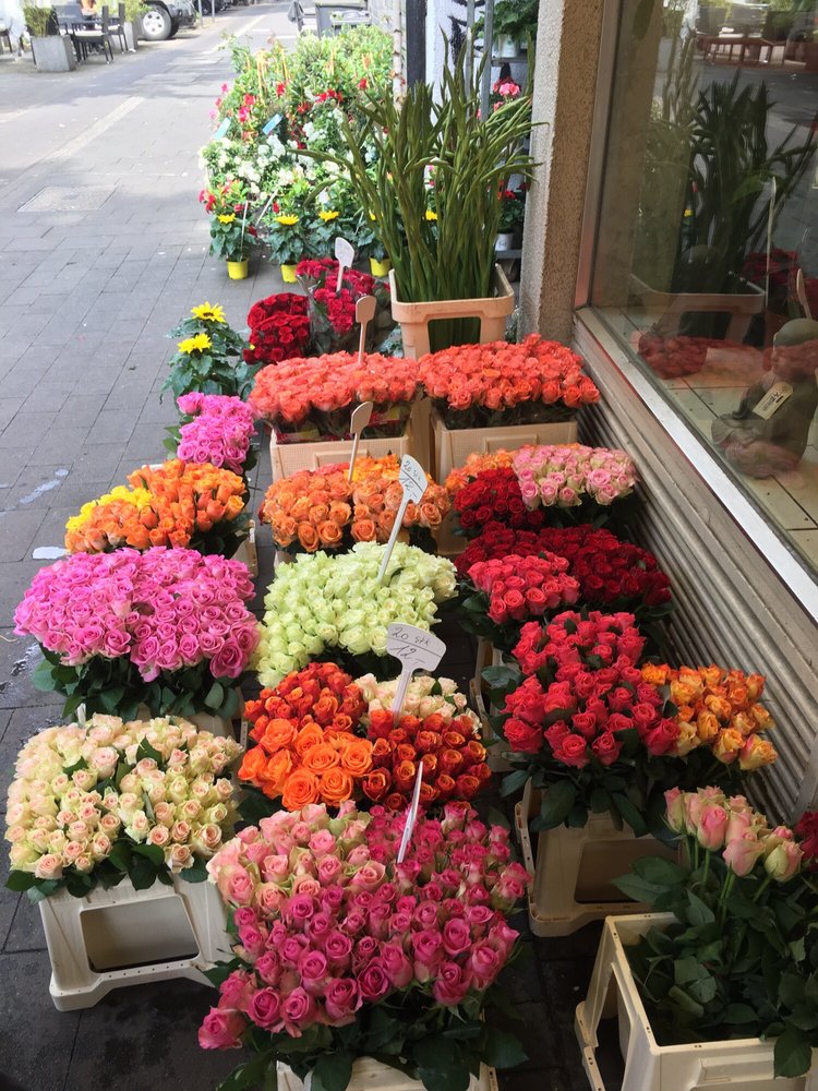 BLUMENPARADIES Updated September 2024 Dürener Str. 78, Köln