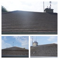 Golden Aer Solutions - We clear moss off your roof and then soft wash it.