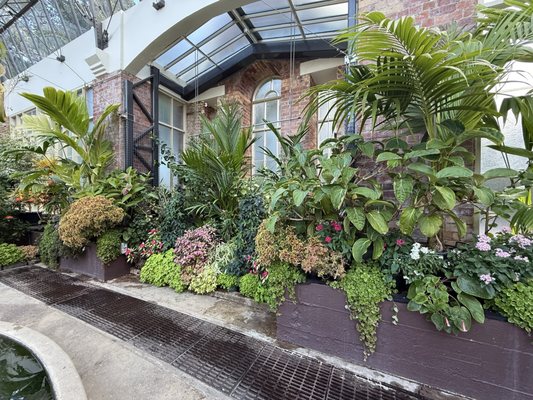 Auckland Domain by null