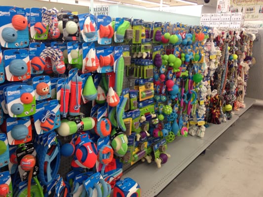 dave's soda and pet city