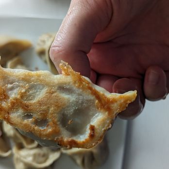 Dots Grey Kitchen - Pork, shrimp, and chives dumpling - Venues & Event Spaces Near Me - Minneapolis, Minnesota