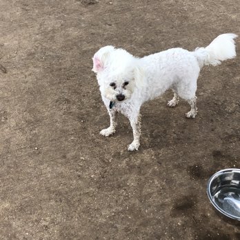 Cedar Bark Park - Dog Parks Near Me - Cedar Park, Texas Cedar Bark Park - Dog Parks Near Me - Cedar Park, Texas