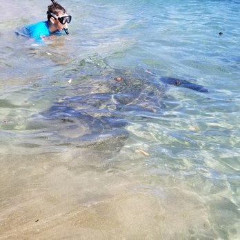 Black Rock Beach - Another picture of the turtle - Beaches Near Me - Lahaina, Hawaii Black Rock Beach - Another picture of the turtle - Beaches Near Me - Lahaina, Hawaii