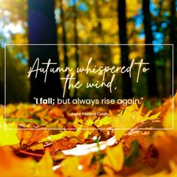 Warren Boardman, DMD - #quoteoftheday #october #autumn #RidgewoodDentistry #Ridgewood #NJ