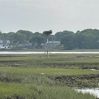 Bayside Resort Hotel - From beach eagles roost at low tide loads of wildlife. - Hotels Near Me - West Yarmouth, Massachusetts Bayside Resort Hotel - From beach eagles roost at low tide loads of wildlife. - Hotels Near Me - West Yarmouth, Massachusetts