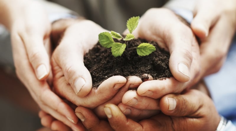 Eganix - septic in Auburn Hills, MI