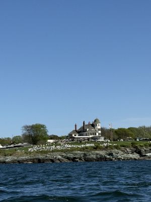 Newport Sailing School and Tours by null
