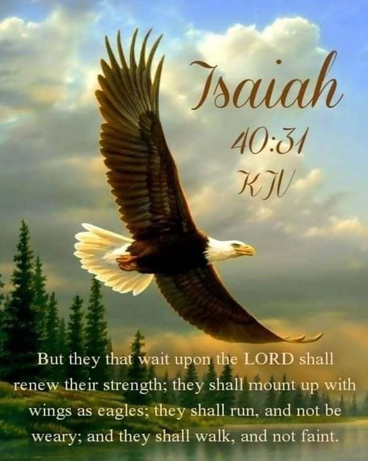 Eagles Club House - social services organization in West Pittston, PA