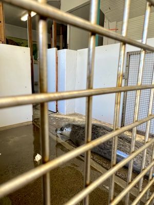 Seaside Aquarium by null