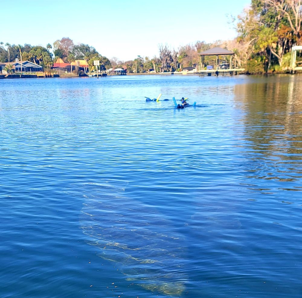 11 Photos Crystal River, Florida Boat Charters Phone Number Yelp