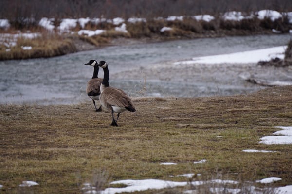 The Hole Hiking Experience by null