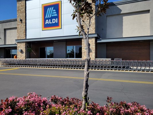 ALDI - Updated December 2024 - 80 Photos & 116 Reviews - 8788 Navajo Rd