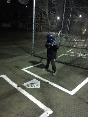 RAGE CAGE - Updated January 2025 - 16 Reviews - 1520 112th St SW