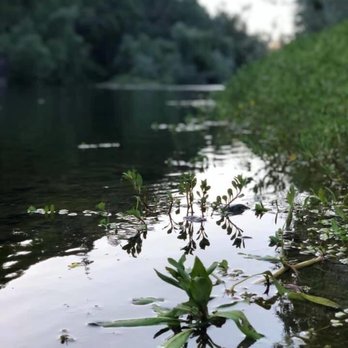 Thousand Trails Russian River - Campgrounds Near Me - Cloverdale, California